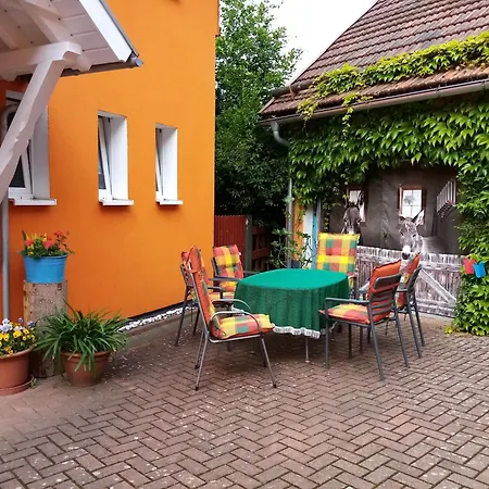 Haus Martin Apartment